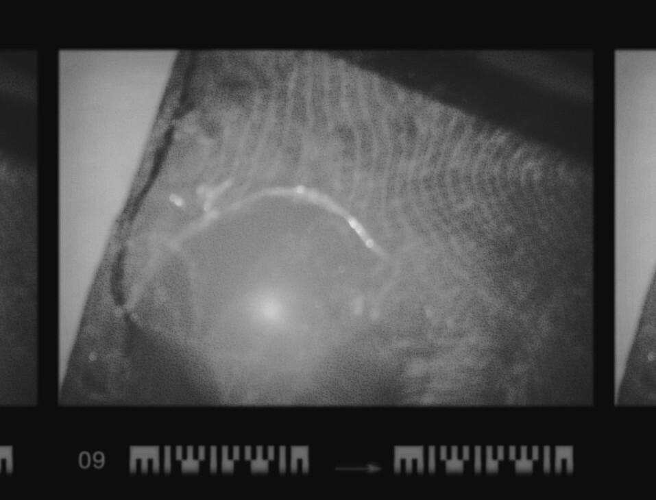 体育开户必赢网址网站最新版下载(图1)