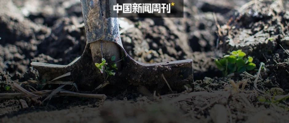 白丝小舞夹腿挣扎求饶的漫画内容完整版下载(图1)