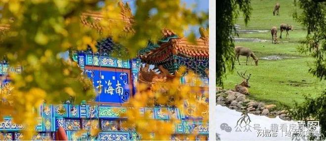 亦庄招商序官网售楼处营销中心售楼中心电话(图7)