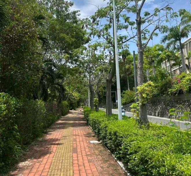 27岁女游客三亚疑被蛇咬伤身亡是独生女准备考研(图3)