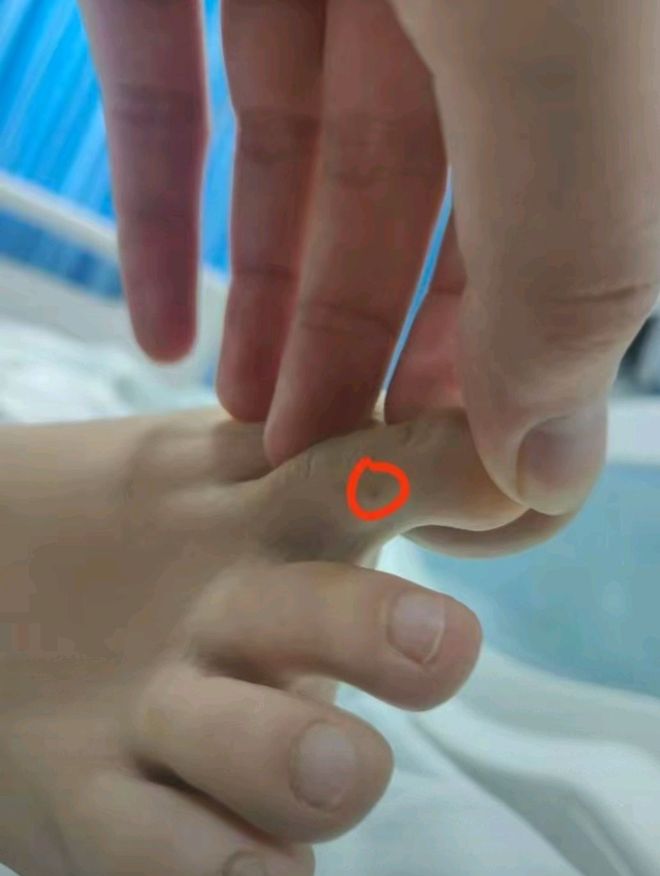 27岁女游客三亚疑被蛇咬伤身亡是独生女准备考研(图10)