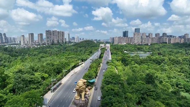 必赢中国数智改变生活 从无人配送车到智能游船 贵阳上演“科技改变生活”实景剧(图12)