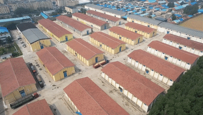 必赢中国“三夏”生产一线观察｜田间好“丰”景 夏收正当时(图9)