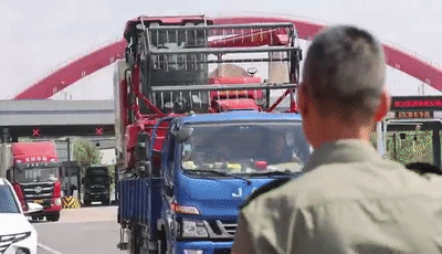 必赢中国“三夏”生产一线观察｜田间好“丰”景 夏收正当时(图10)