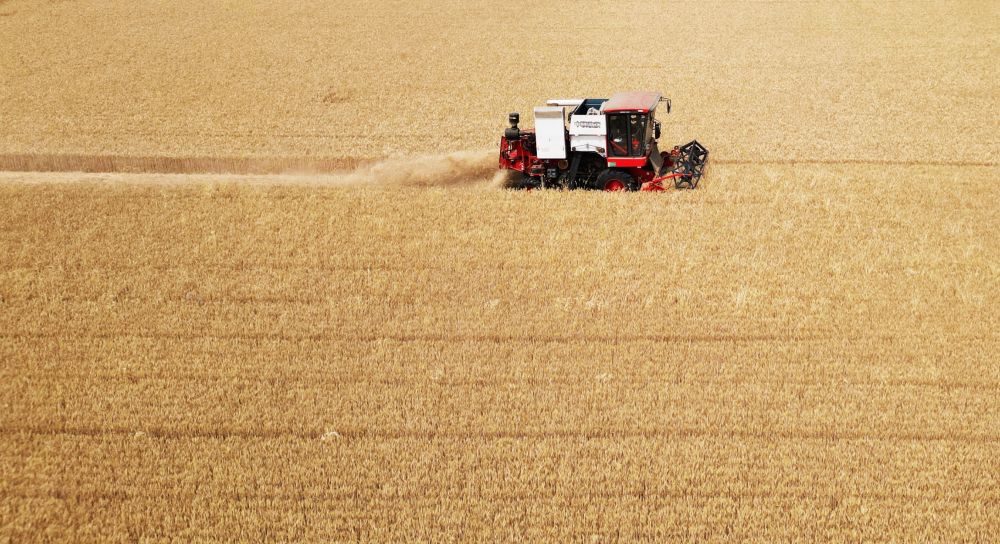 必赢中国“三夏”生产一线观察｜田间好“丰”景 夏收正当时(图1)