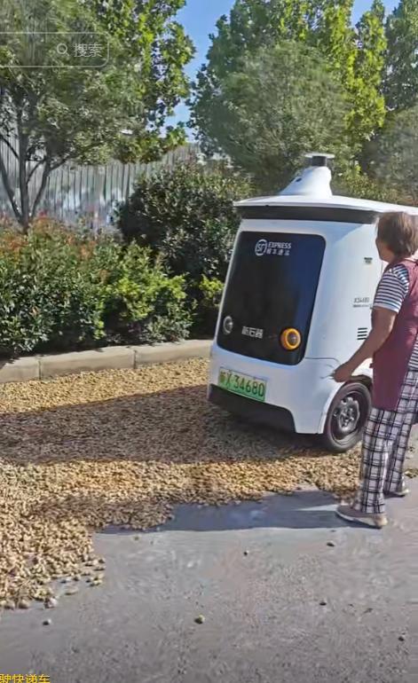 笑翻了！无人驾驶快递车压到大妈晒的BWIN花生被拦下挨打了！(图3)