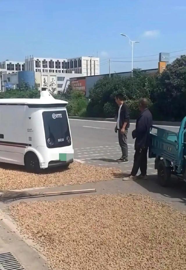 笑翻了！无人驾驶快递车压到大妈晒的BWIN花生被拦下挨打了！(图9)