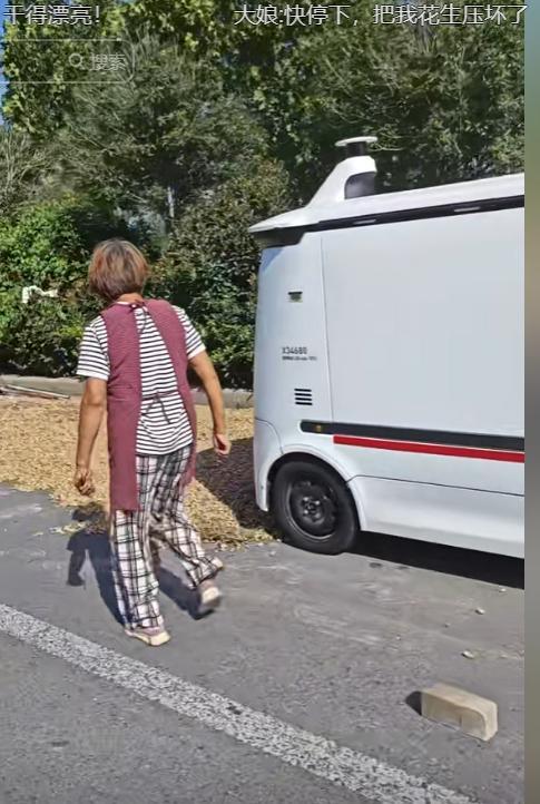 笑翻了！无人驾驶快递车压到大妈晒的BWIN花生被拦下挨打了！(图21)