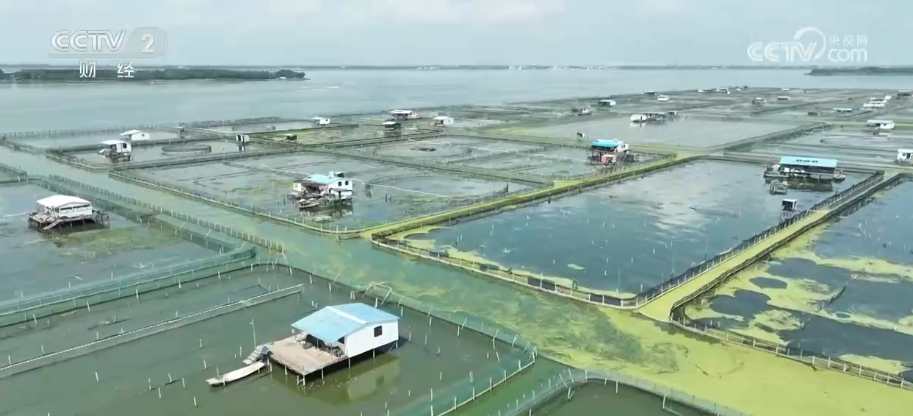 “双十一”BWIN新观察·分拣“加速跑” 快递小哥告别“爆单焦虑”(图3)