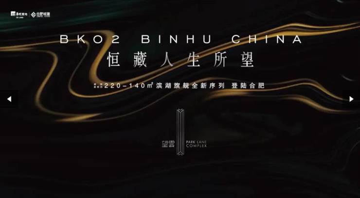 滨湖区望雲项目户型图-值得买吗(图1)