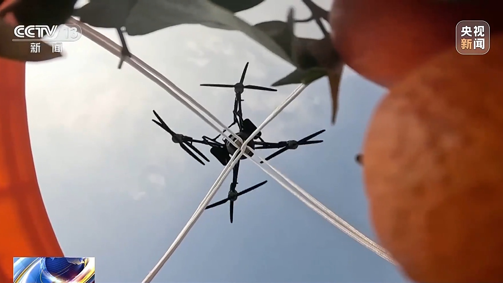 “十五五”开好局起好步丨智慧物流提速 广西水果“鲜”达全国(图1)