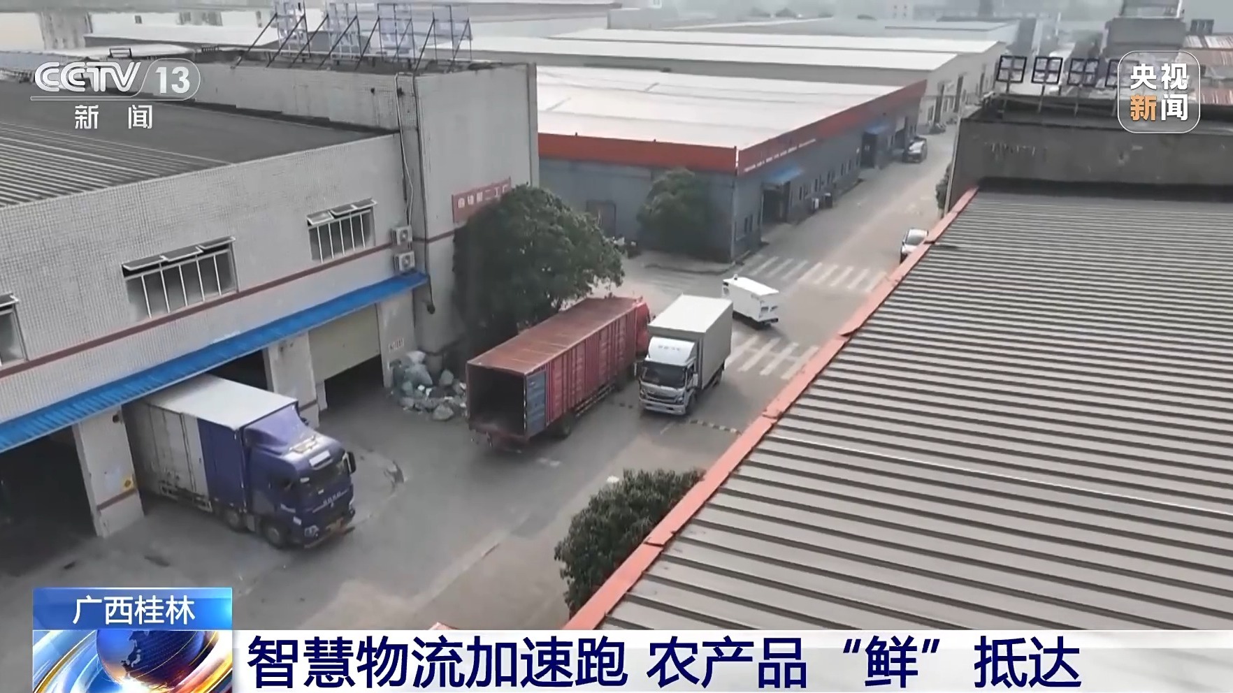 “十五五”开好局起好步丨智慧物流提速 广西水果“鲜”达全国(图2)