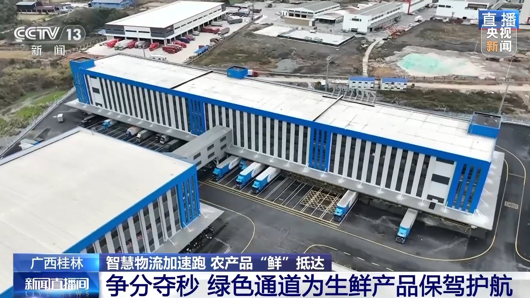 “十五五”开好局起好步丨智慧物流提速 广西水果“鲜”达全国(图6)