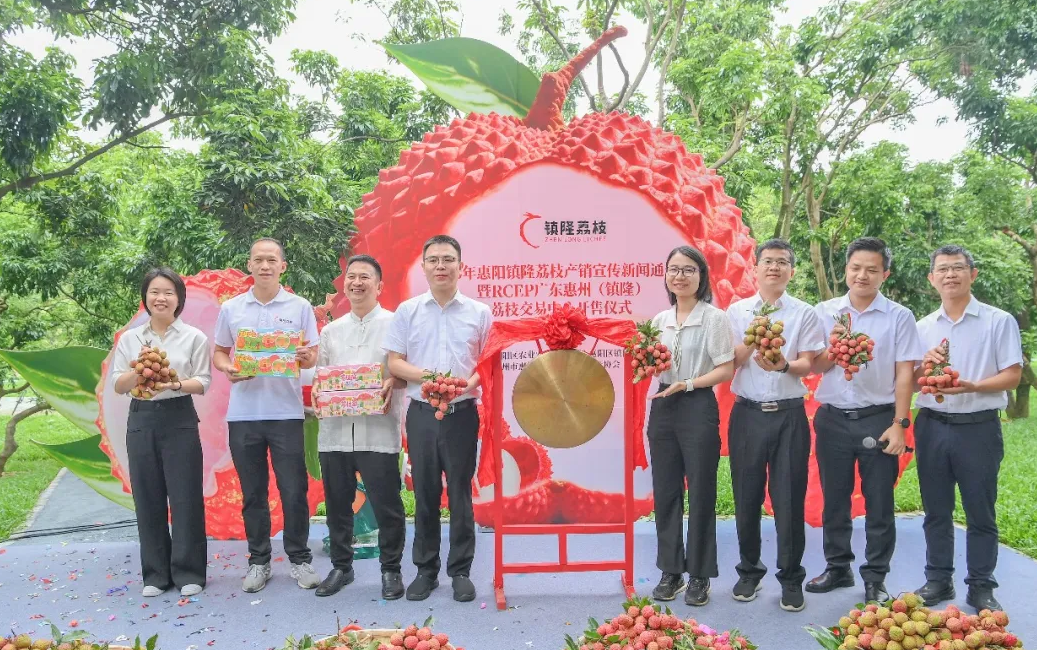 赴一场荔约寻一抹红韵广东惠阳镇隆荔枝正式开售(图1)